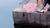 刀不能白磨，那就吃狗肉吧