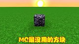 MC里面的方块种类繁多，这些方块最没有用，被称呼为废物方块