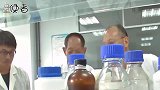 上过太空的果实为何都会变大？是因为有利生长？科学家给出答案