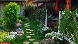 春已至，花已开，早安丽江