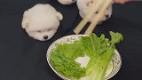 这是什么菜