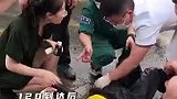 外卖小哥路遇车祸，武警官兵紧急救助（作者：武警山西总队 许宝航、张志翔；编辑：别特）
