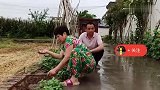 儿子开刀需3万块，二妹慷慨解囊，这个恩情我记一辈子