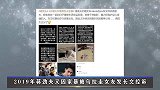 从前途无量到千夫所指，“热衷”家暴的蒋劲夫，为何将好牌打稀烂