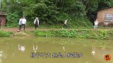 黑坑抢鱼“大战”，当场放1000斤鱼，小伙上鱼速度秒杀全场