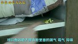 橘子吃完橘子皮不要扔，它还有这几个妙用，扔掉太可惜了