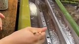 奇葩流水面，涨见识了