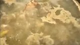 糖醋排骨分享给大家，天天让我做，今天来了