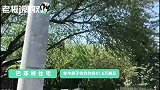 巴菲特“最失败”的投资：3.1万美元买下了这里的房子？