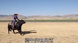 最奇葩的坐骑，骑猪满街跑，异常的显眼