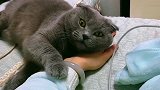 神笔马良最新画画新作，不吃不喝不睡不动画了半个月