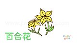 植物简笔画大全，画两朵百合花简笔画