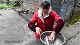 丫丫做红烧鲈鱼，这样做鱼肉香嫩，味道不摆了，过瘾