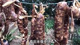 灌好香肠后插一根牙签，太重要了！吃了30年才知道，又学会一招