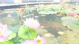 不愧是明月宫的主人，这些杀手手中的剑在她面前犹如玩物！