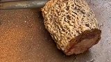 老家发现的烂木根，切开一看，年底的奔驰有望了！