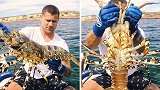 澳大利亚：一名渔夫捕到巨型龙虾放生，网友点赞