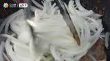 色香味俱全的电饭锅手抓饭，让人垂涎三尺！