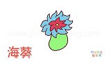 动物简笔画大全，画可爱的海葵简笔画