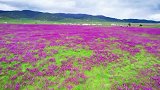 青藏高原自然风光
