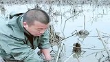 莲藕收获了，农村大叔跑来泥塘，掏出大黑鱼！