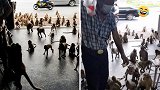 泰国：华富里几十只饥饿的猴子冲进街边店铺寻找食物