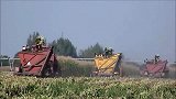 美国发明的大型玉米收割机，老家农村的土地可以刚刚装装得下