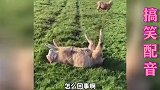 这结了婚就是大人了，礼节不能差