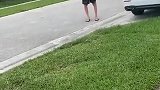 “滚，你们不配待这儿”白人老头辱骂黑人小孩，见其祖父走来秒怂