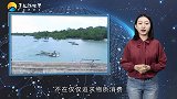 绝不坑中国游客的国家，总统曾下令：谁坑中国人就驱逐！