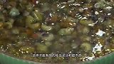 炒田螺别直接下锅就炒，那样炒出来又老还吸不出来，教你正确做法