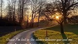我终究还是无法阻止你的离开，就像这夕阳无可奈何必将沉下