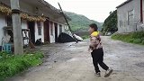 学校半年前奖励给学生的猪