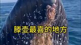 滕壶最喜欢的地方