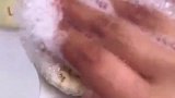 洗澡刷长柄设计，洗澡也不求人搓背了，油脂洗干净，才不容易闷痘
