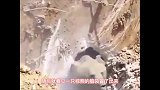 山体内频频传出异响，挖掘机挖开后，吓翻众人！