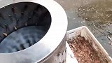 活坤现嘎主打一个新鲜
