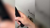 正确的握拍姿势是先松后紧