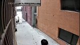 扫把沾屎，吕布在世！