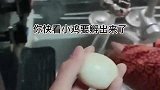 男子手指放在蛋壳里，整蛊老妈小鸡要孵出来了