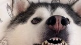 该洗澡了