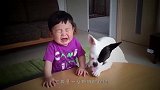 宝宝一口咬住猫咪尾巴，猫咪立马发狂，回头看是宝宝秒变脸！
