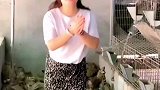 兔子太听话了，自己往手上跳，美女一高兴就劈了个叉！