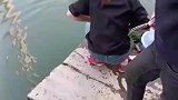 甲鱼掉进水里，男子急得脸都红了