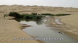 中国最大沙漠底下有大发现，科学家发现一个巨大“宝库”