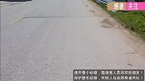 被遗弃在路边的小狗奄奄一息了，好心小哥施救奇迹康复！