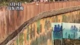 熊员工到点就下班，疯狂扒拉单位大门准备回家