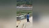 敢招惹动物，那就面对疾风吧