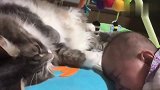 称职的猫保姆，看到小主人哭啼，伸出爪爪安慰