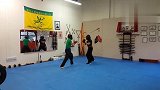 散打王-20190223-武术实战螳螂拳，远踢近打贴身摔